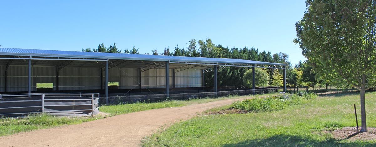 Building A Horse Arena