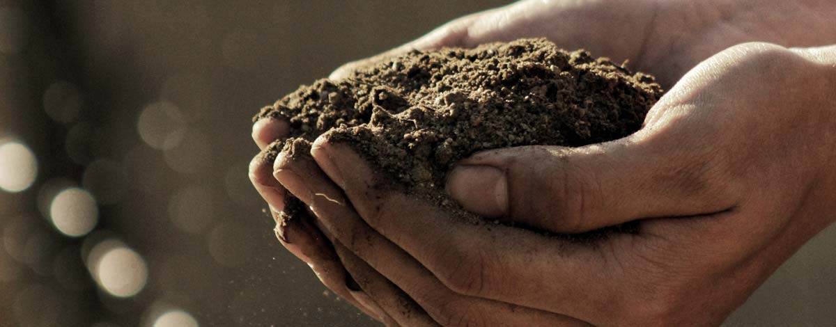 Dressage Arena Construction