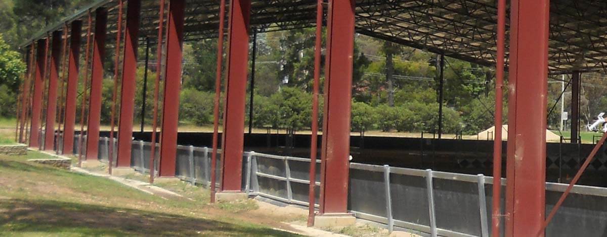 Dressage Arena Drainage