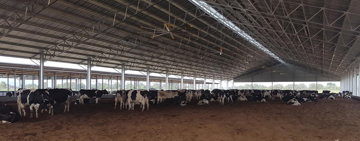 Galvanised Farm Shed