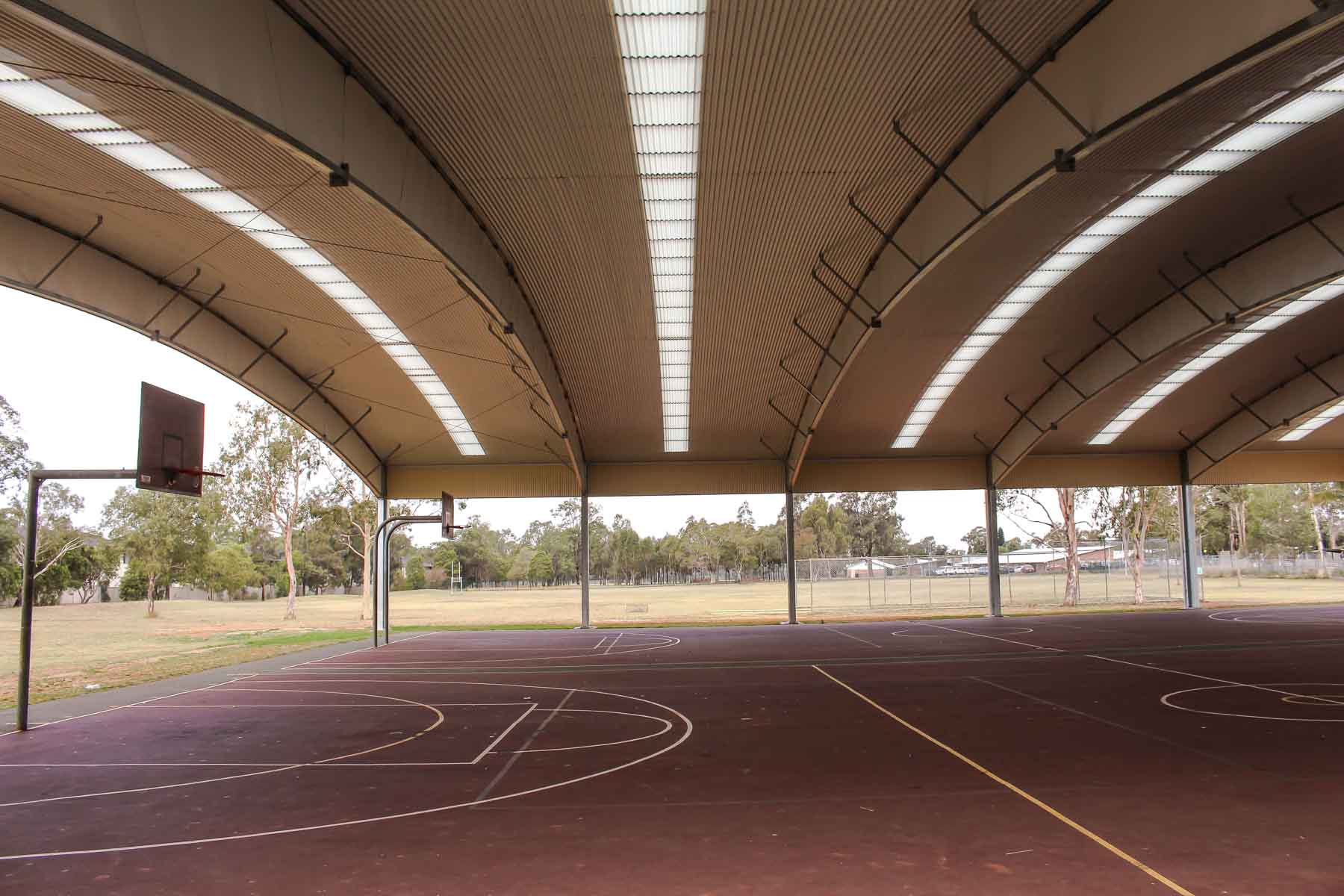 Bird Proof School COLA