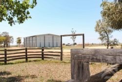 Steel Grain Shed Overview