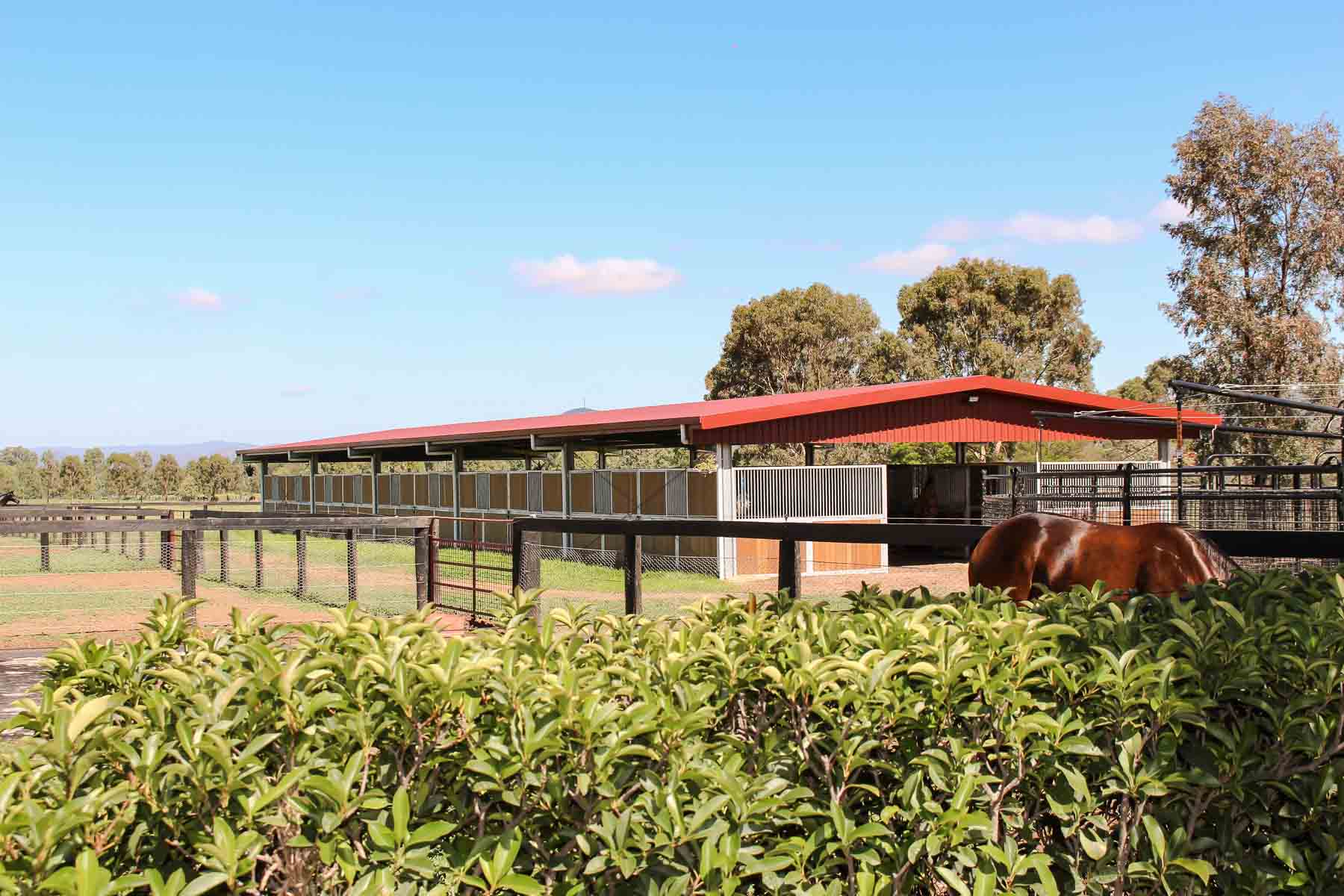 Steel Horse Stables Overview