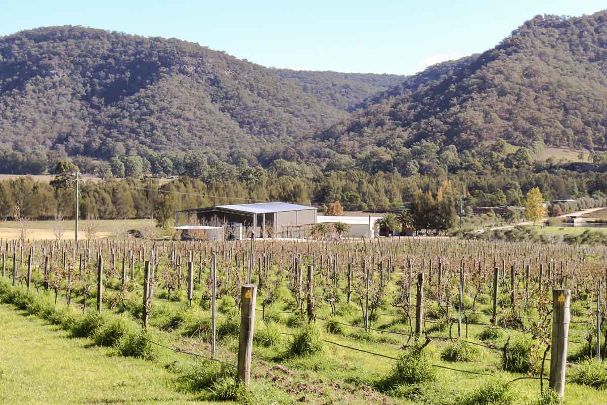 Steel Vineyard Packing Shed Overview