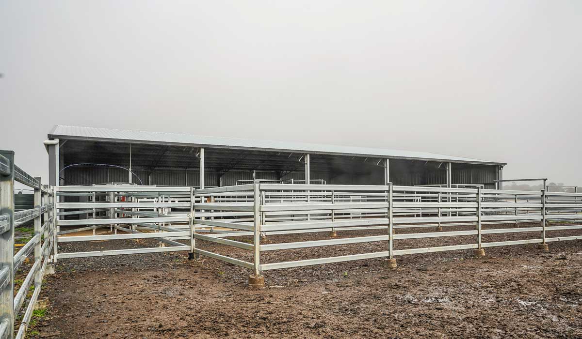 Structural Steel Stockyard Cover