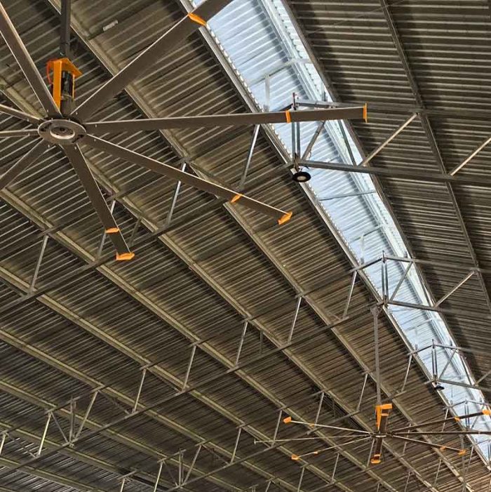 large fans in a dairy loafing shed