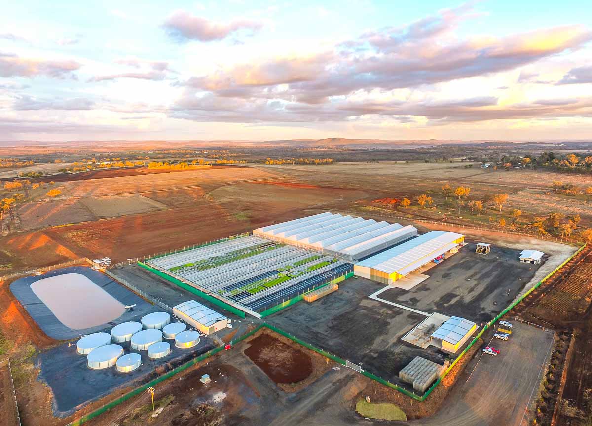 aerial overview of horticulture facility
